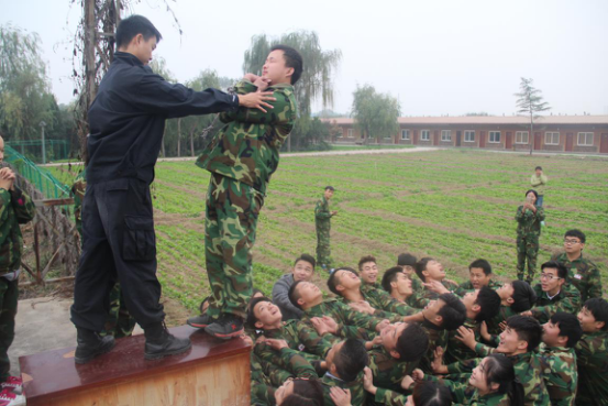 图片3